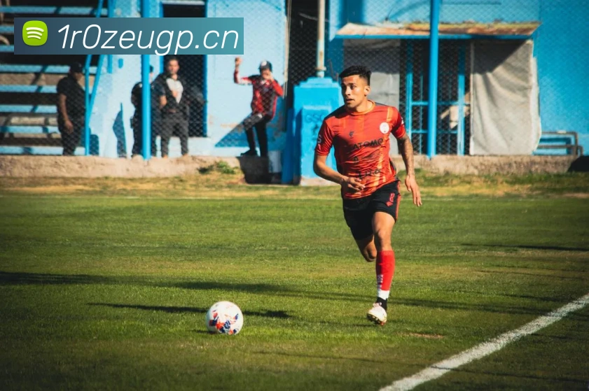 奇异果app官网入口发展历程